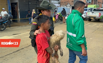 Princesa: la perrita que será adoptada tras la tragedia en el barrio Sinaí de Medellín