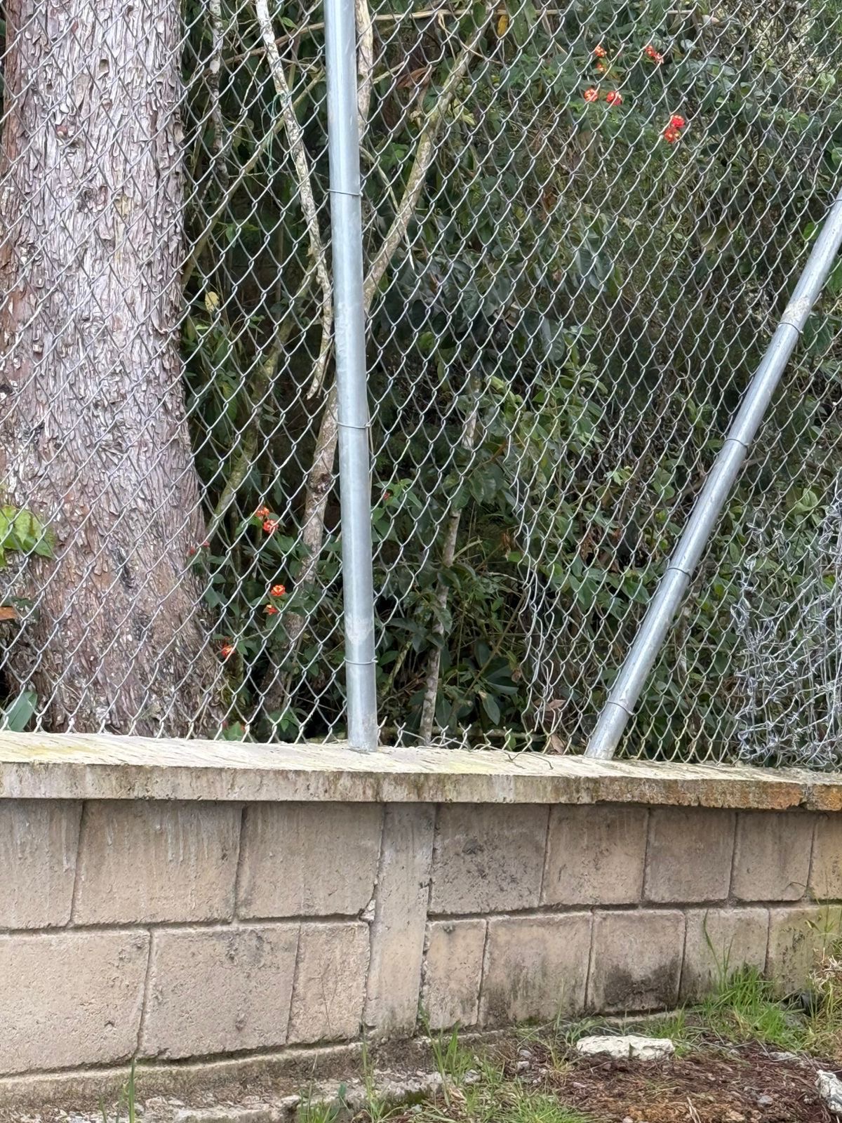 95170ab8 779b 4aad 9165 b295bffa630c